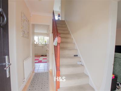 Picture 20